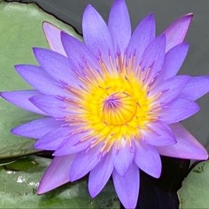 Meet your Posher, Jitka